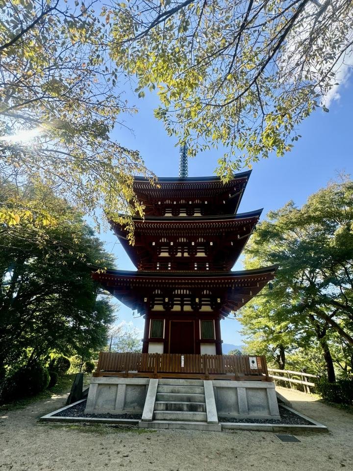 岡寺１１